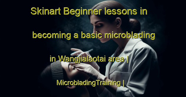 Skinart Beginner lessons in becoming a basic microblading in Wangjialaotai area | MicrobladingTraining | MicrobladingClasses | SkinartTraining-China